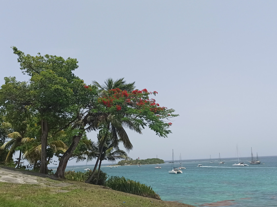 Ilet du Gosier-Le Gosier必去景点