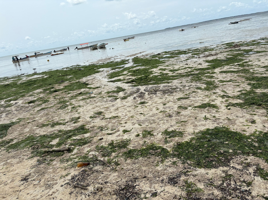 Paradise Beach Resort & Spa主图