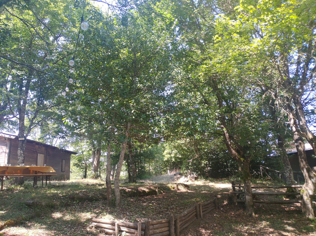 Nebris Rifugio Del Parco