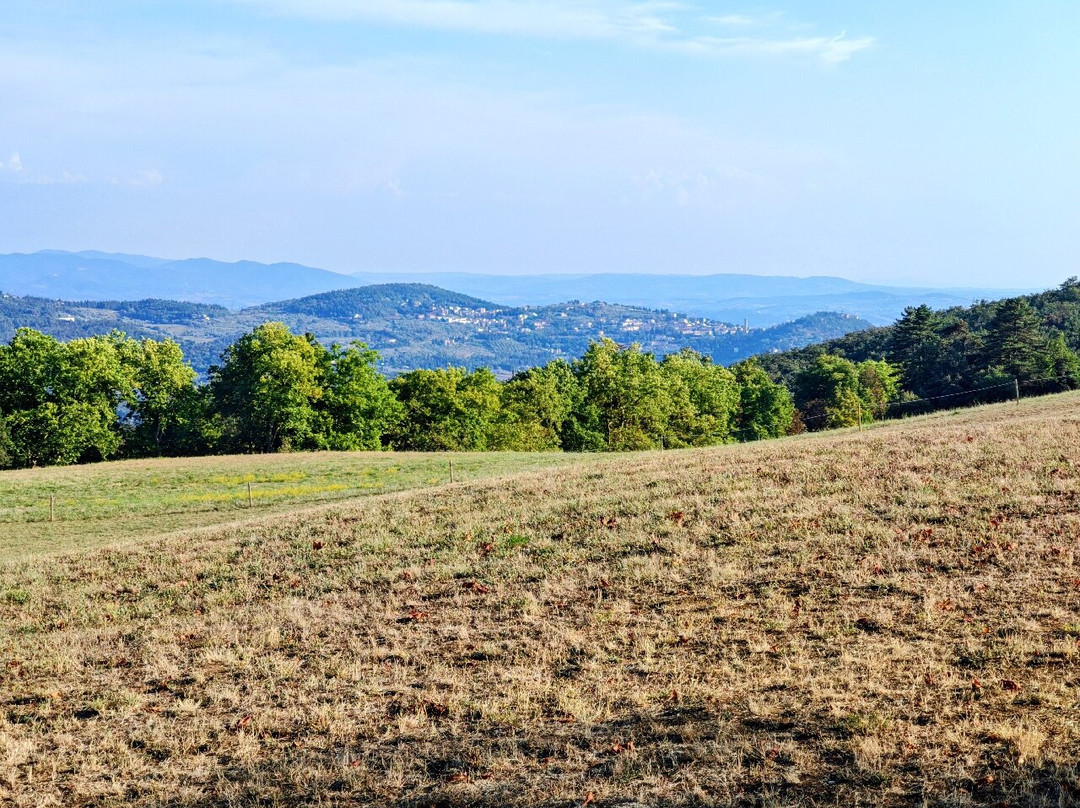 Parco Mediceo di Pratolino (Villa Demidoff)-Vaglia必去景点