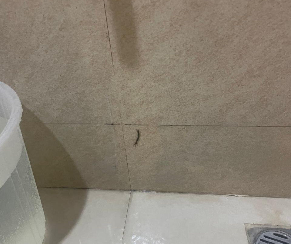 Dhanalakshmi Srinivasan Hotel主图