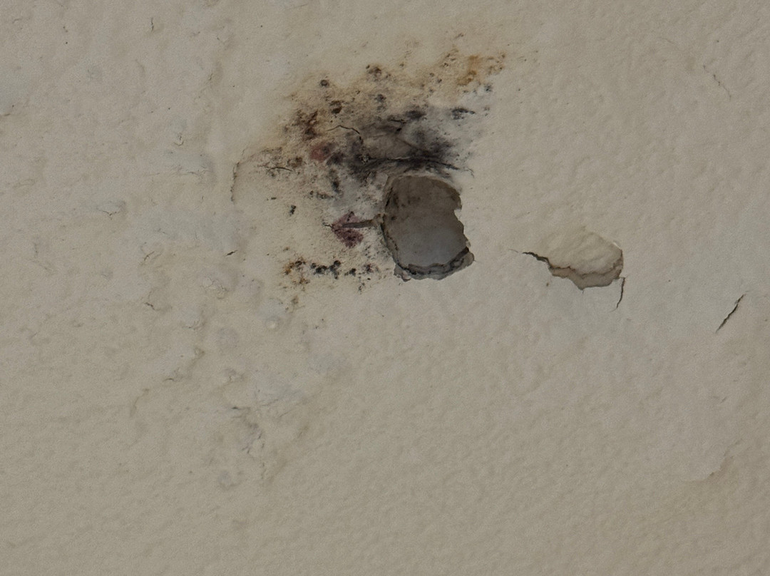 Days Inn by Wyndham Clemson主图