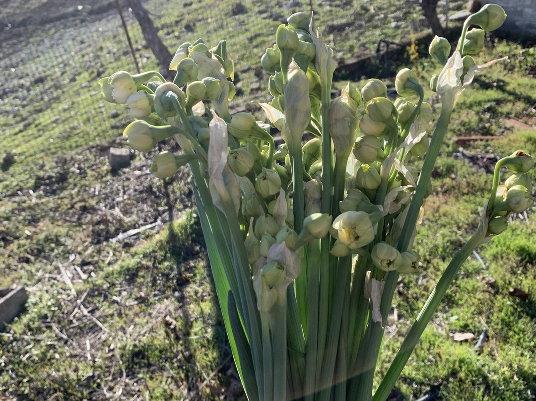 Paralio Astros Castle-Paralio Astros必去景点