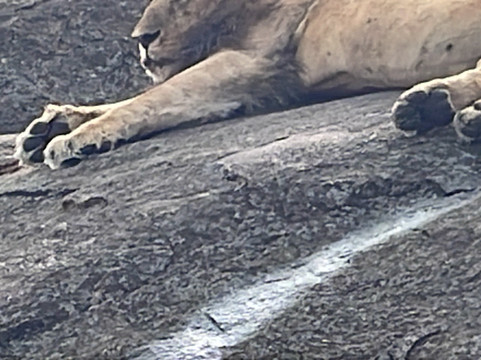 Ungitours-莫西必去景点