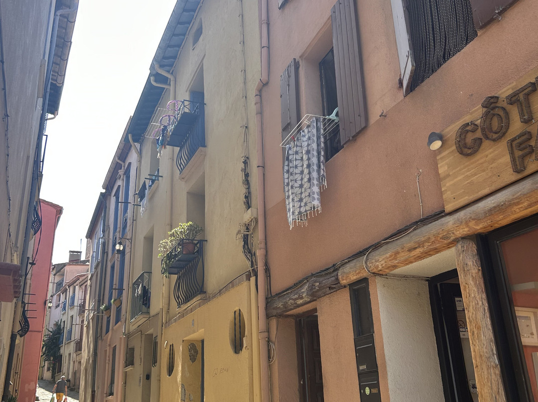 Hôtel Restaurant La Frégate Collioure主图