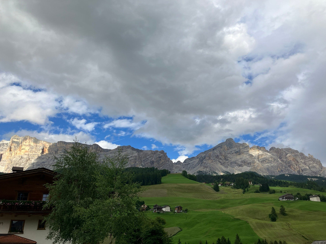 Hotel Des Alpes主图