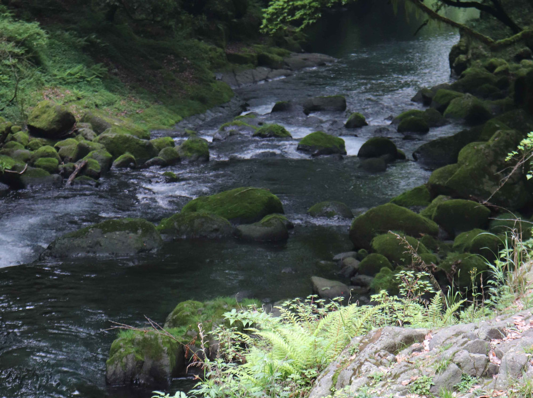 Kikuchi Gorge-菊池市必去景点