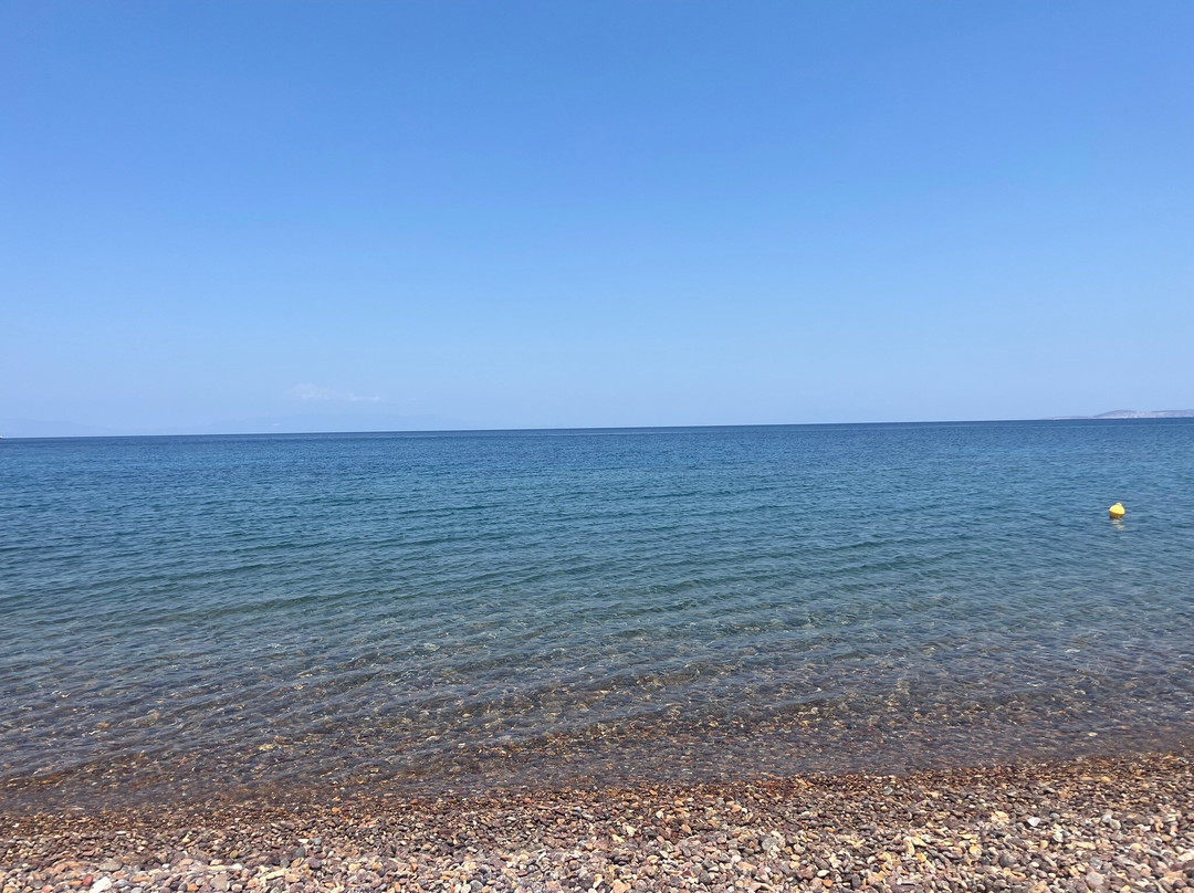 Lampi's Dolphin Seafood Restaurant