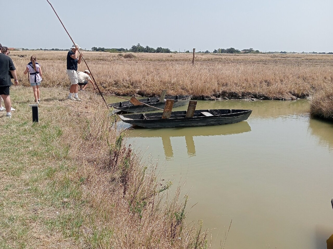 Déambul, Balade en Yole et Calèche-Le Perrier必去景点