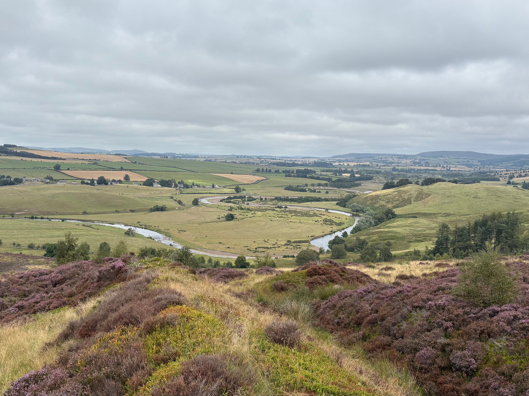 Hepple Wilds Estate-Rothbury必去景点
