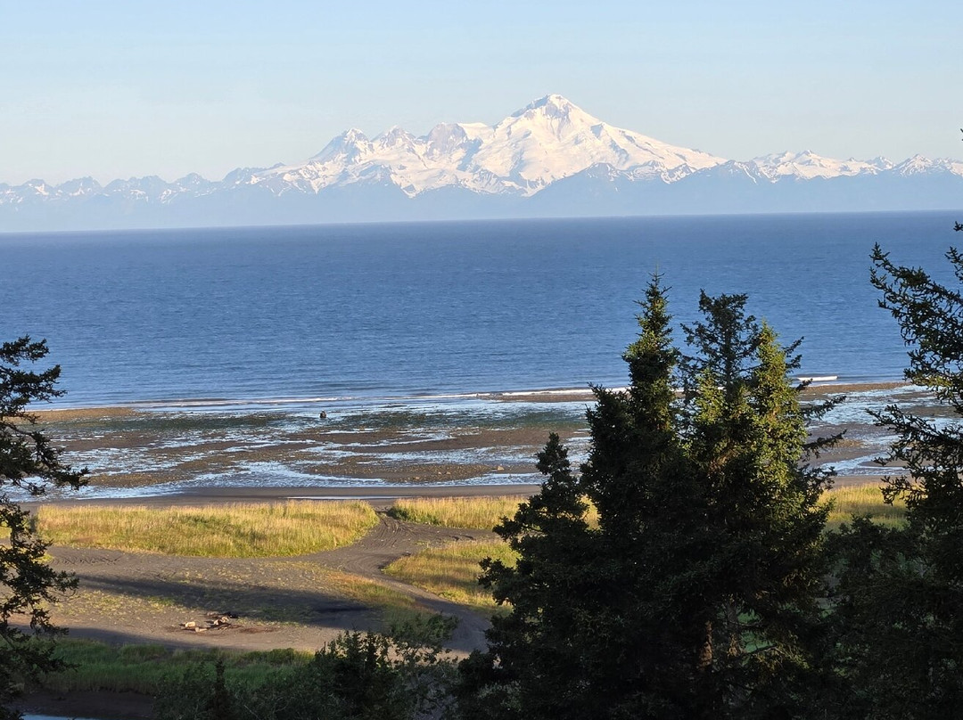 Anchor River Lodge主图