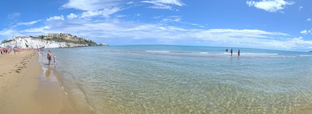 Oasiclub Hotel主图