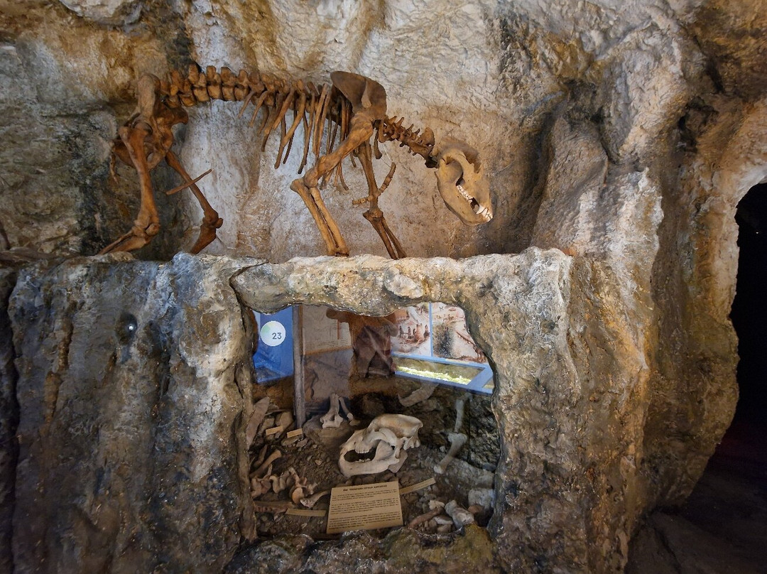 Südostbayerisches Naturkunde- und Mammut-Museum Siegsdorf-Siegsdorf必去景点
