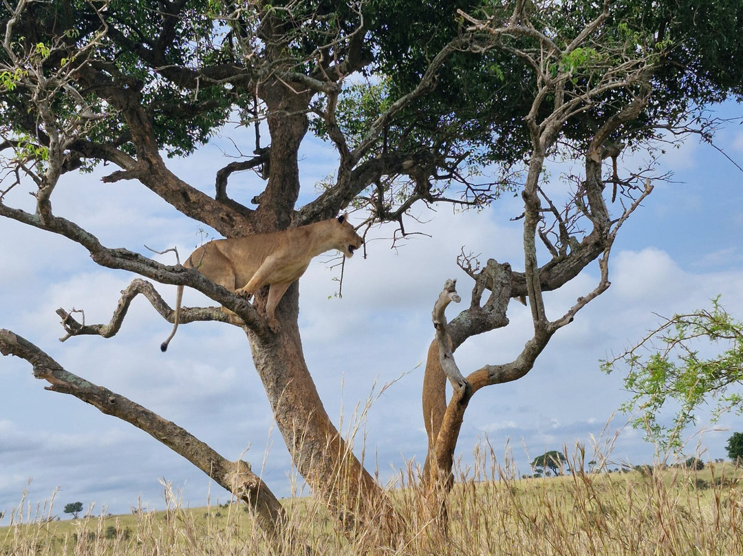 Wild Untouched Adventure-恩德培必去景点