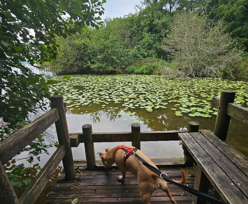 Lac de Léon-Leon必去景点