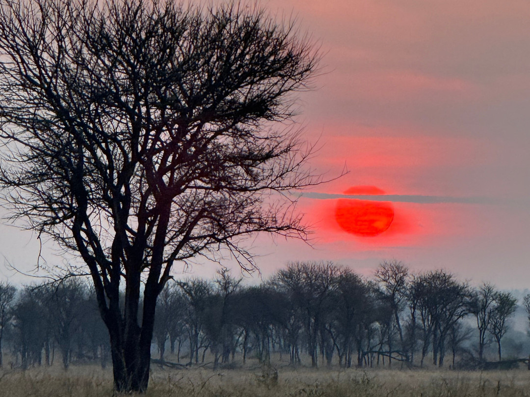 African Traits-阿鲁沙必去景点
