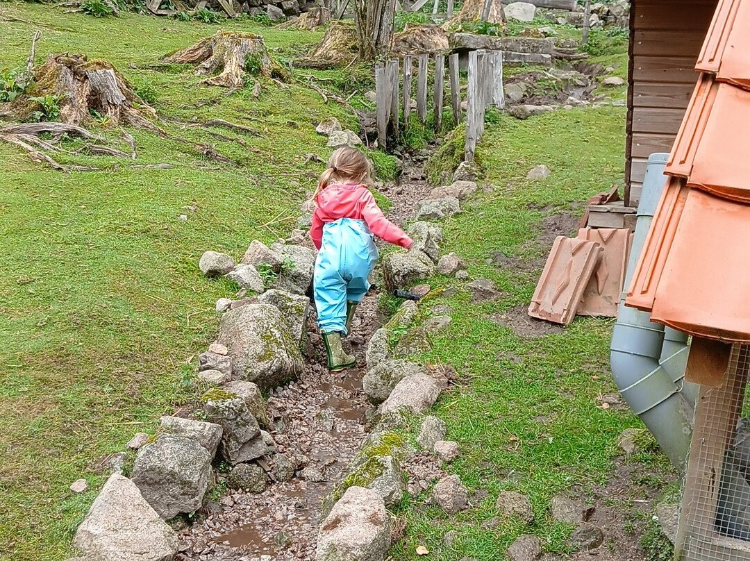 Ferme Jean Des Houx-Sapois必去景点