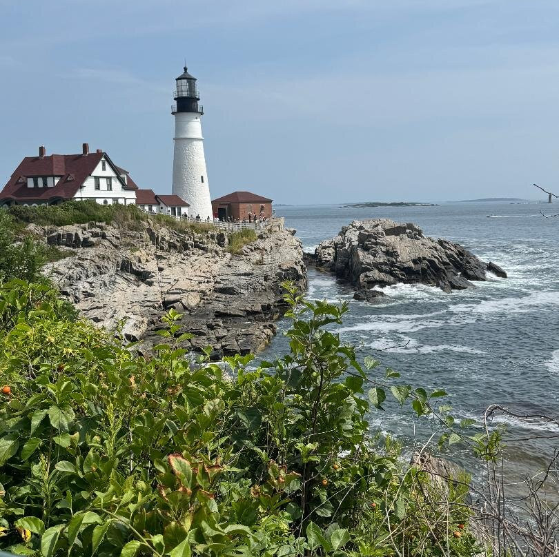 Little Fig Hotel主图