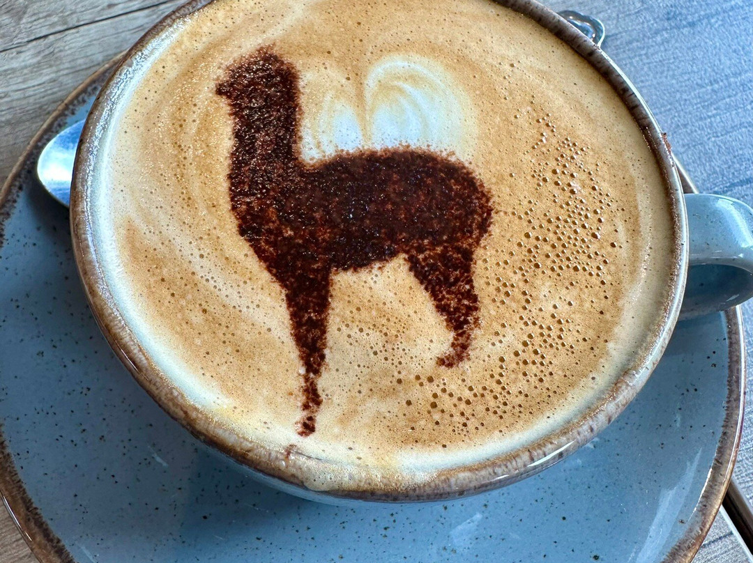 J and J Alpacas-特伦特河畔纽瓦克必去景点