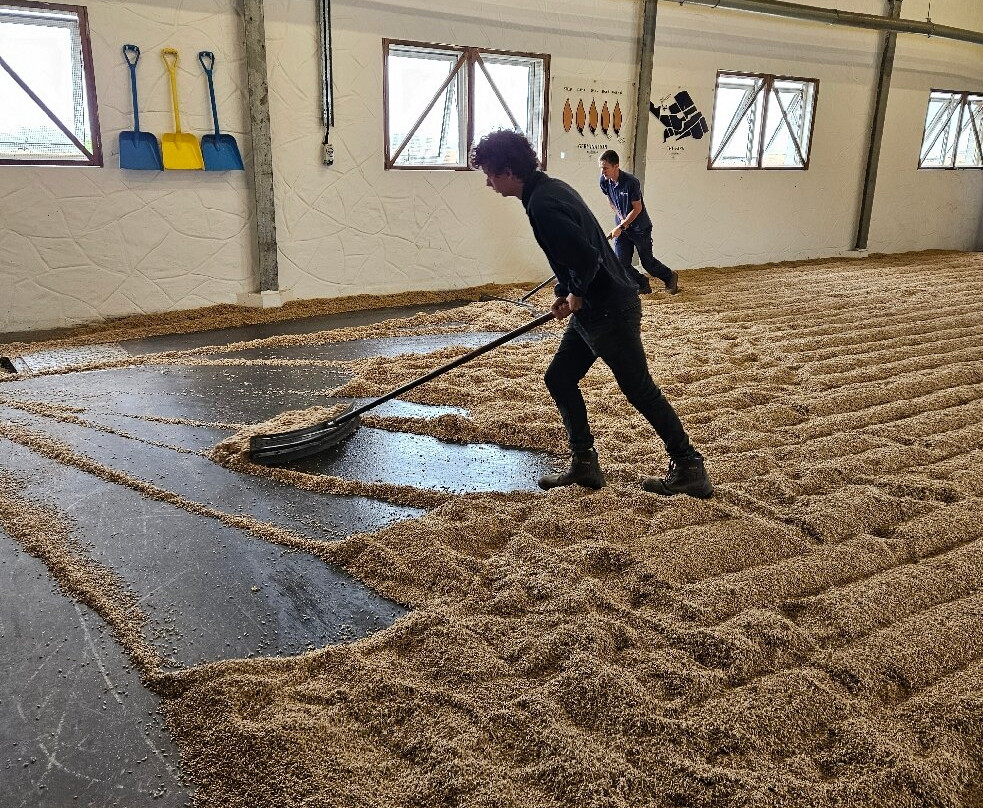 Kilchoman Distillery-Bruichladdich必去景点