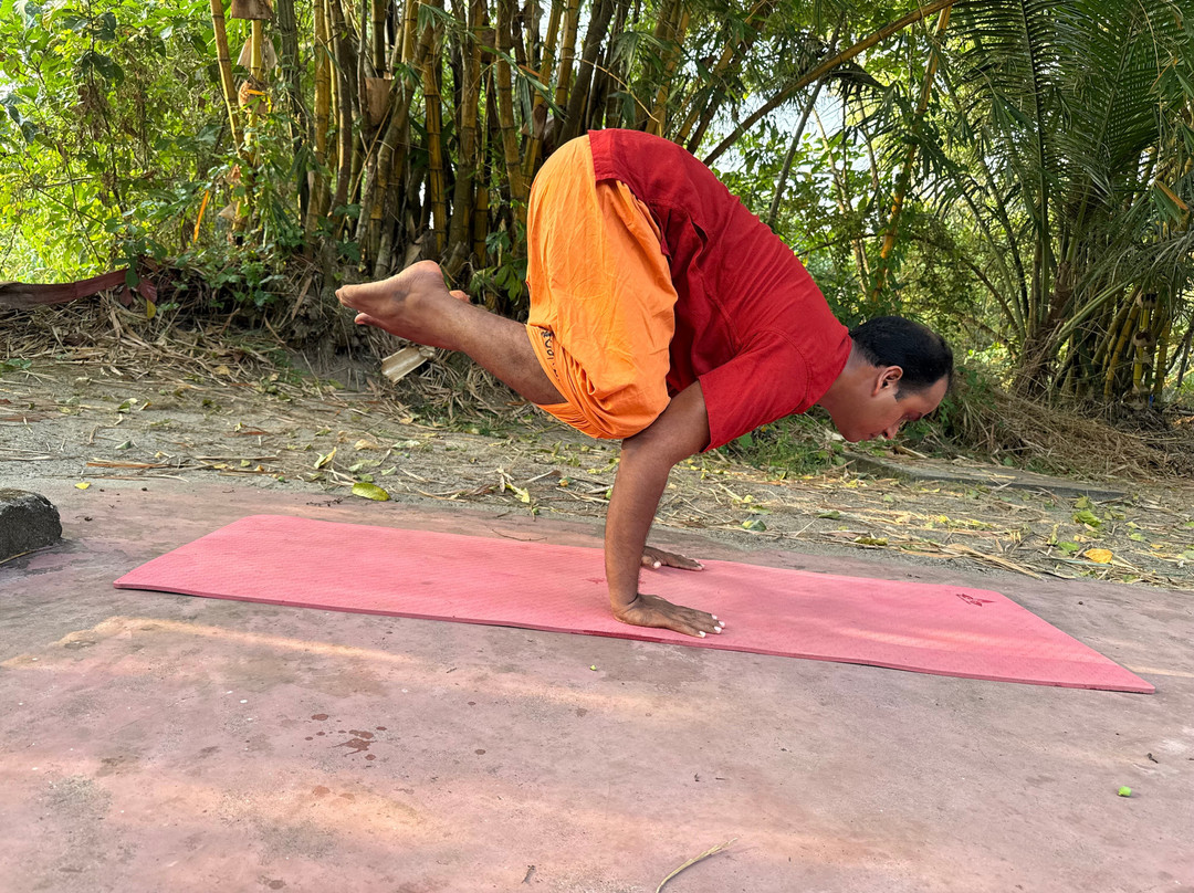 Marari Yogashala & Kalarippayattu center-Kattoor必去景点