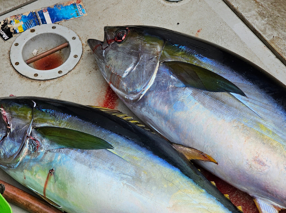 Wicked Wahoo St Helena-Jamestown必去景点