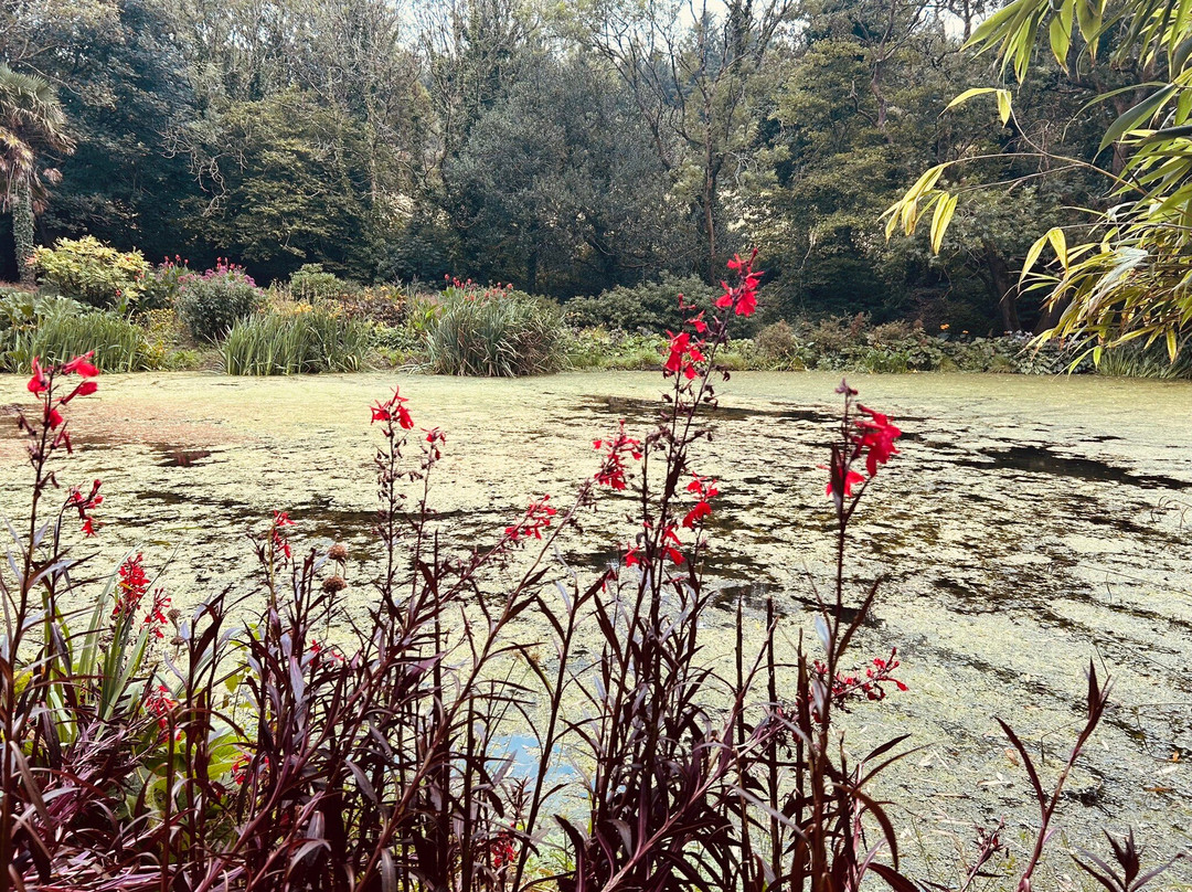 Bonython Estate Gardens-赫尔斯顿必去景点