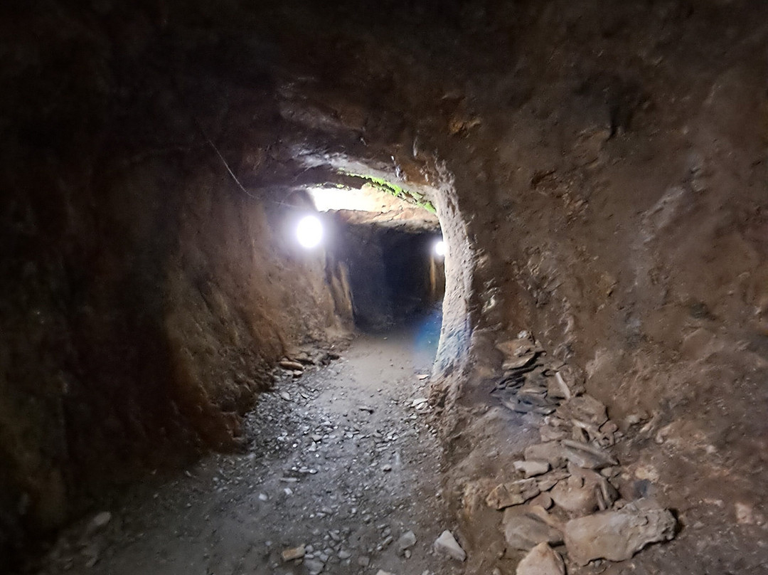 Dolaucothi Gold Mines-Llanwrda必去景点