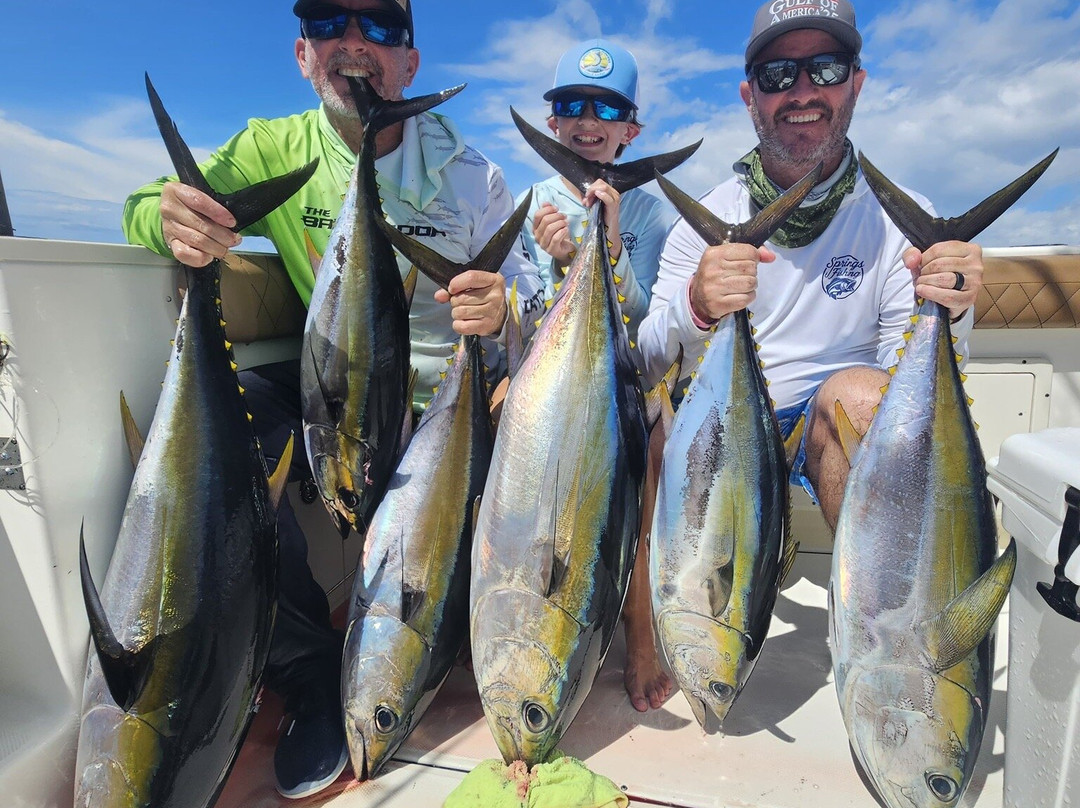 Sport Fish Panama Island Lodge-Boca Chica必去景点