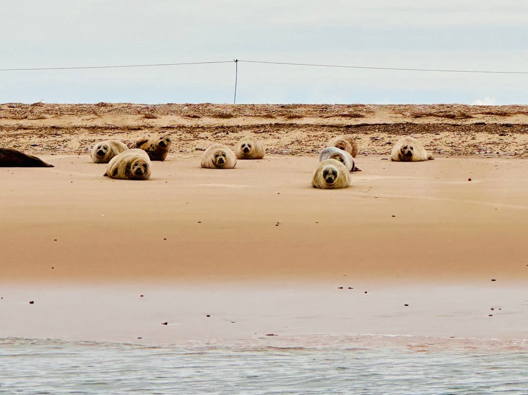 John Bean Boat Trips-Morston必去景点