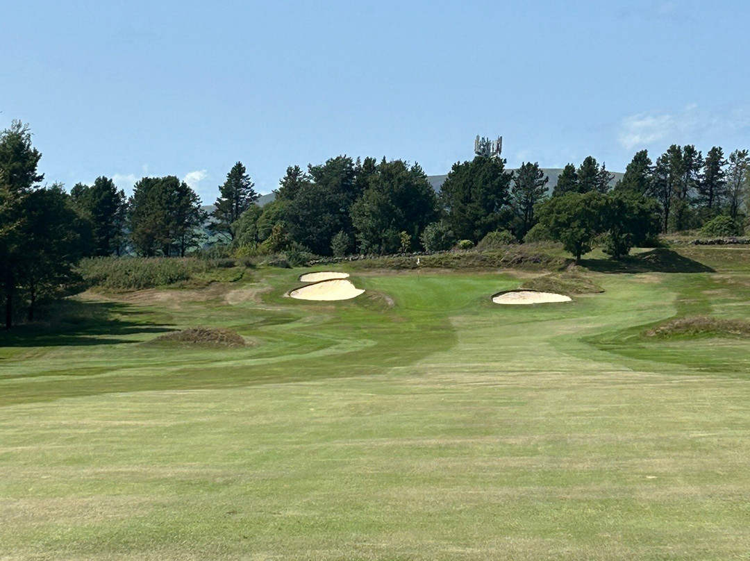 Nelson Golf Club-Nelson必去景点
