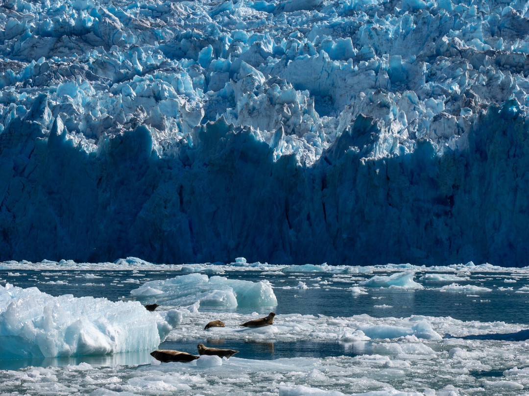 Seek Alaska Tours-Petersburg必去景点