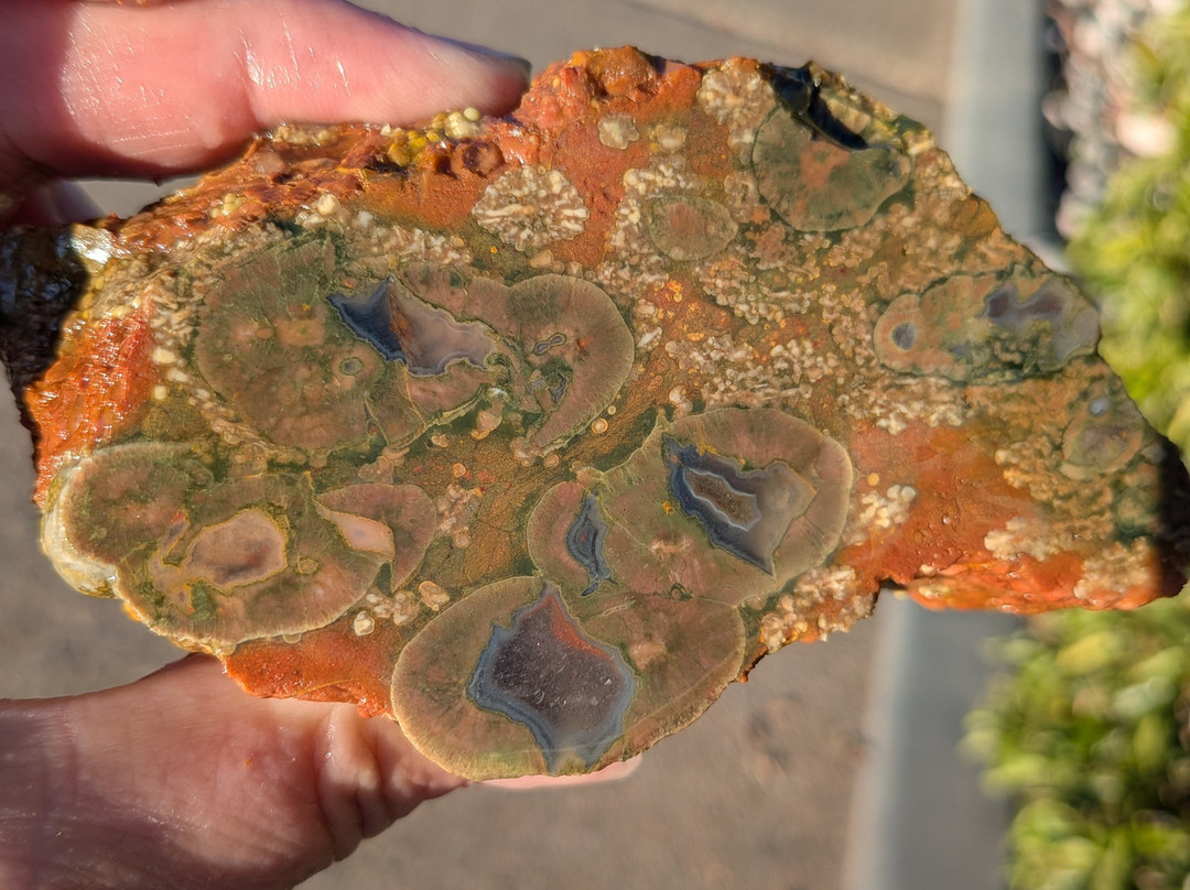 Mt Hay Gemstone Tourist Park-Wycarbah必去景点