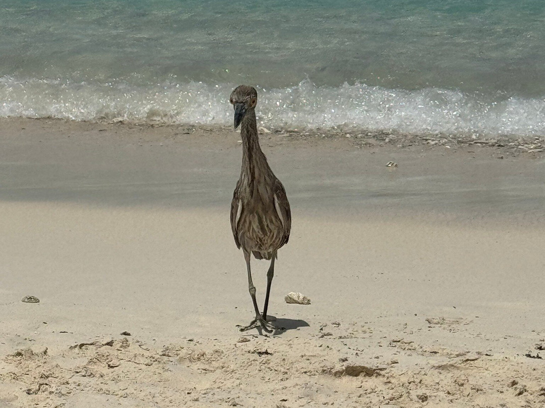 Grote Knip-Sabana Westpunt必去景点