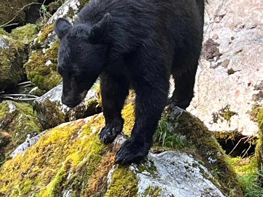 Alaska Vistas-Wrangell必去景点