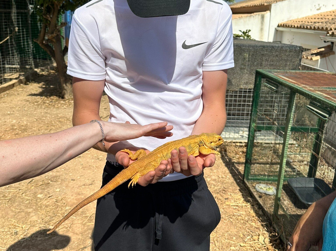 Quinta Fotoplanet Farm-阿尔布赞拉必去景点