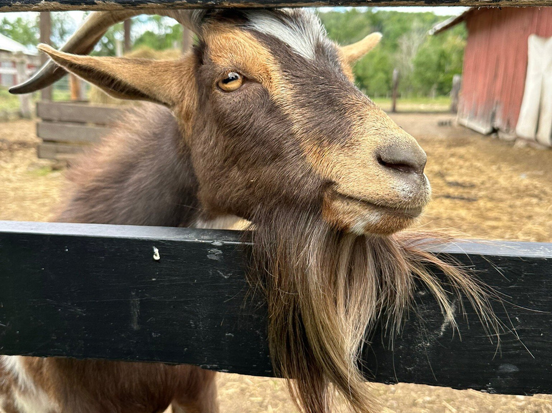 Circle B Ranch-Chestertown必去景点