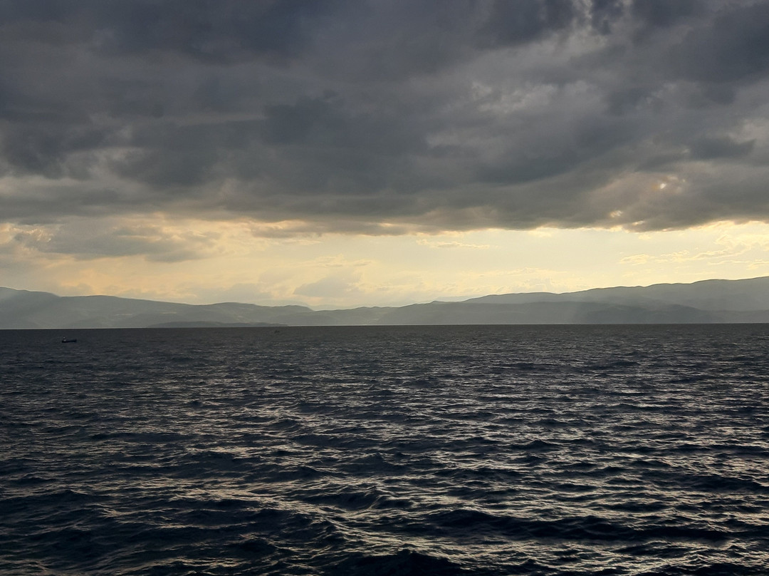 Driloni National Park-Pogradec必去景点