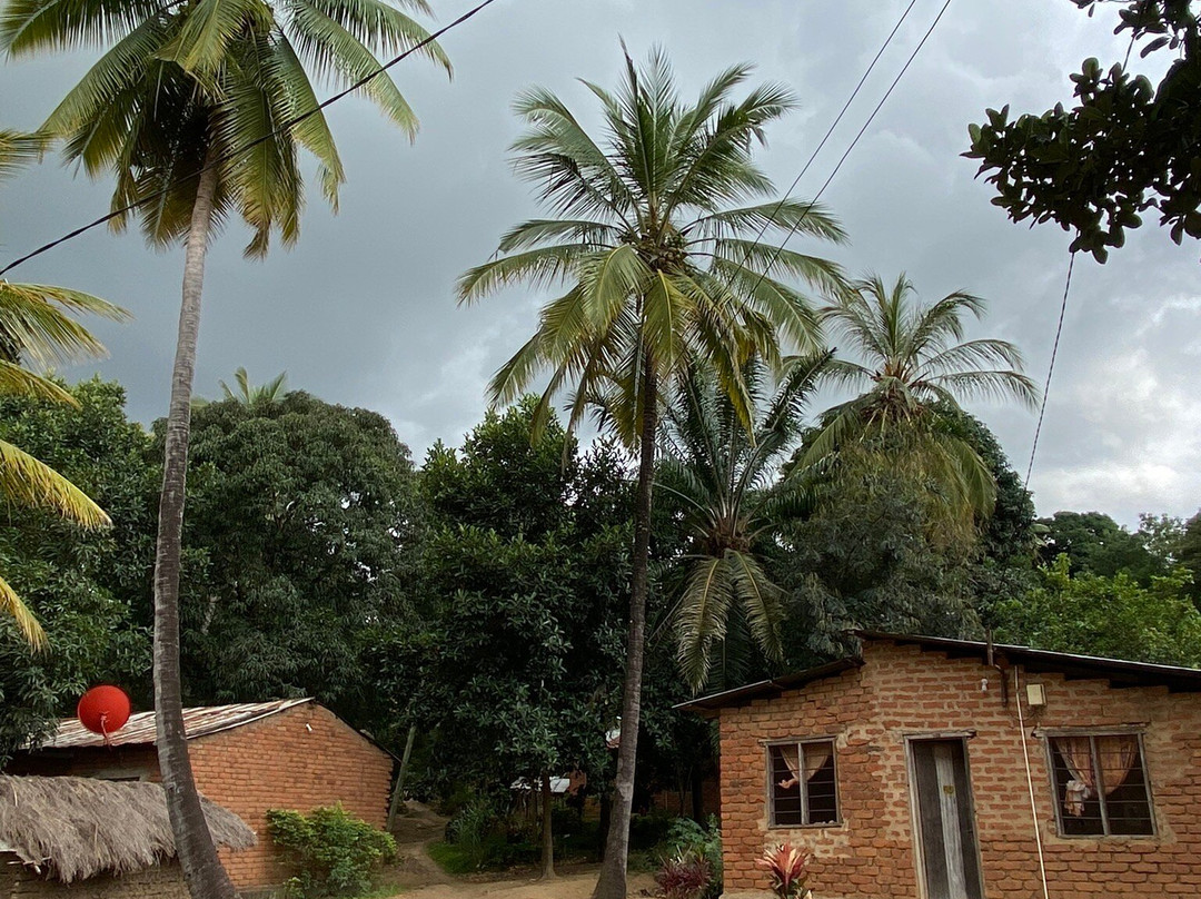 Chizua Waterfalls  Mikumi National Park-米库米国家公园必去景点