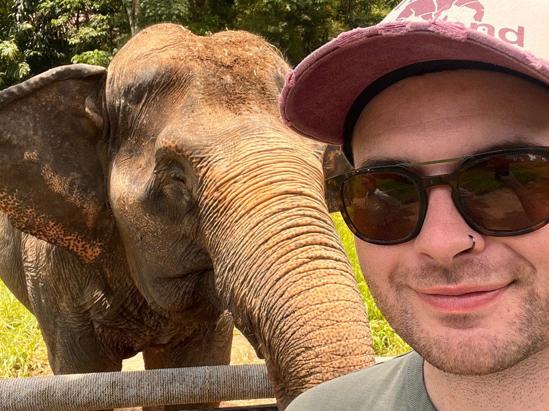 Phuket Elephant Nature Reserve-他朗必去景点