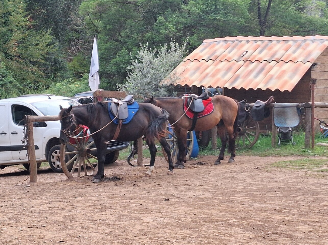 Ranch tavagna cavallu