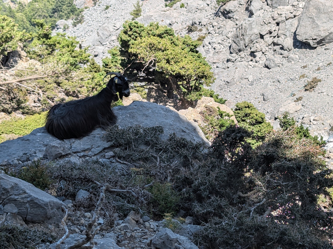 Summit of Gingilos-Omalos必去景点