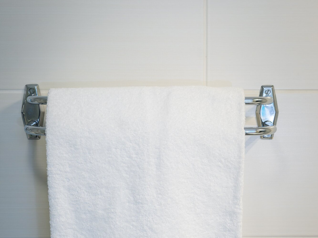 费内伏尔泰酒店住宿-L'Hotel de France