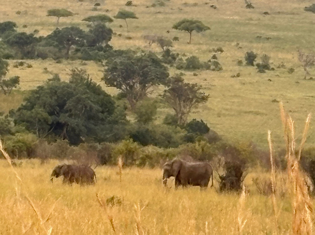 Safari Monks-Bandhavgarh National Park必去景点