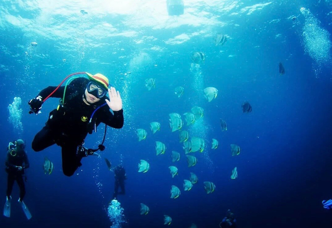 Dolphin Dive Centre Phuket-普吉岛必去景点