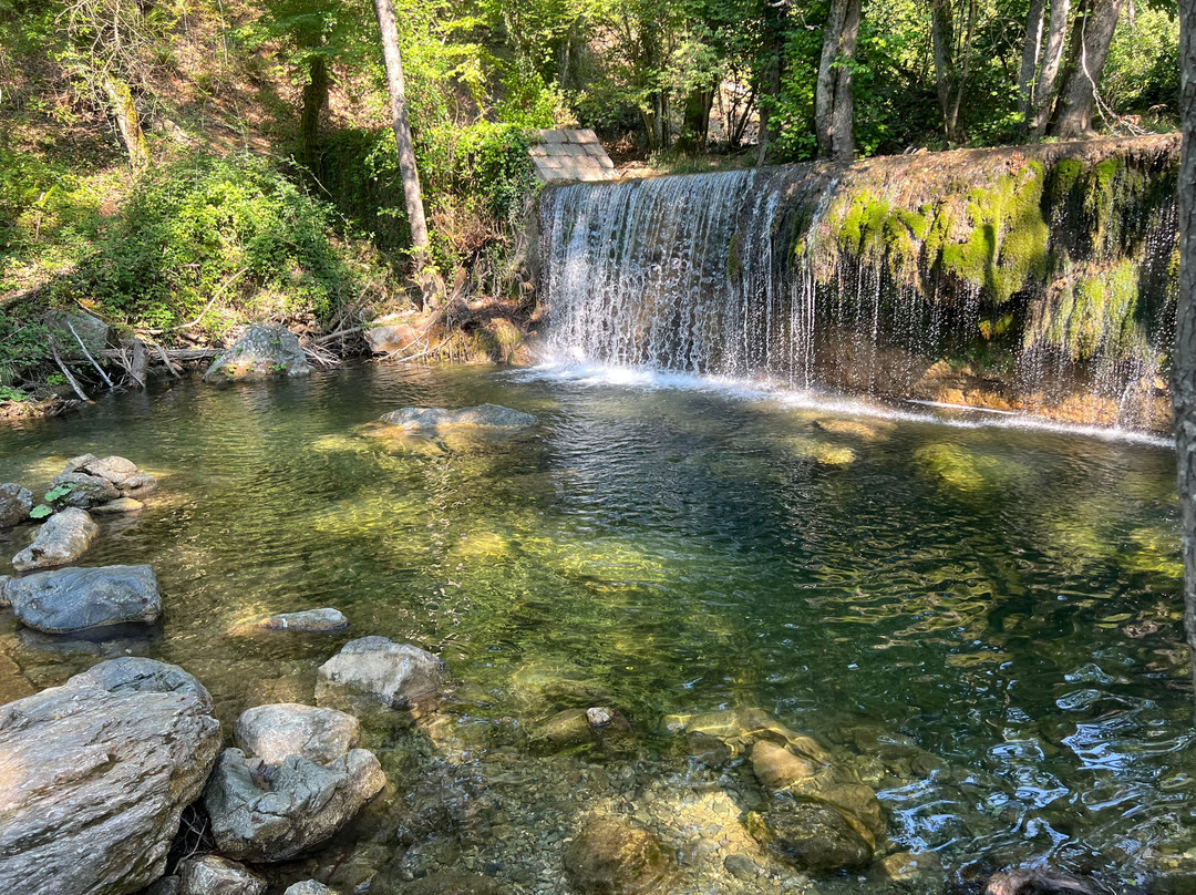 Bosco Magnano - Torrente Peschiera-San Severino Lucano必去景点