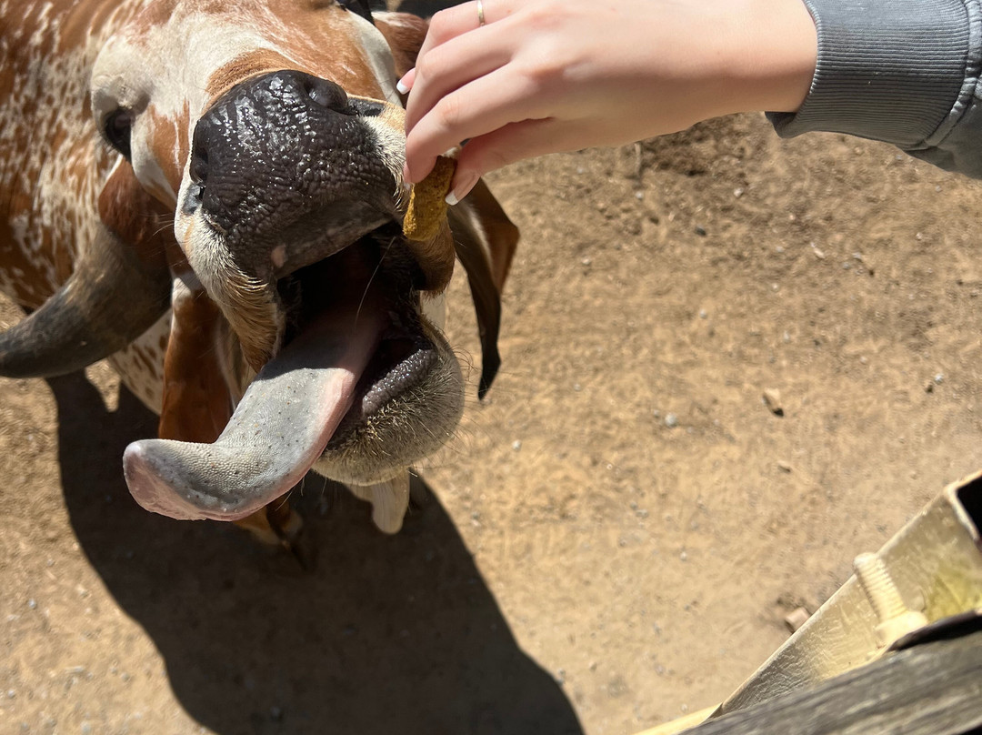 Catoctin Wildlife Preserve-Thurmont必去景点