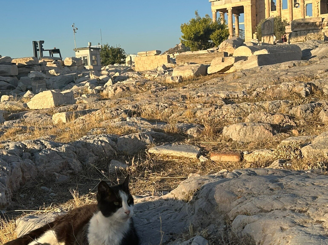 Athens Limo Tours-雅典必去景点