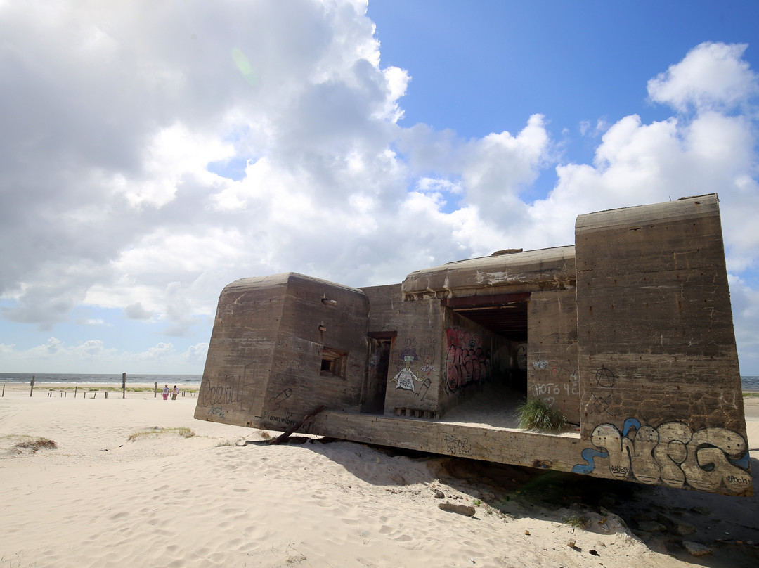 Bill Woodrows Fredsskulptur-Blaavand必去景点