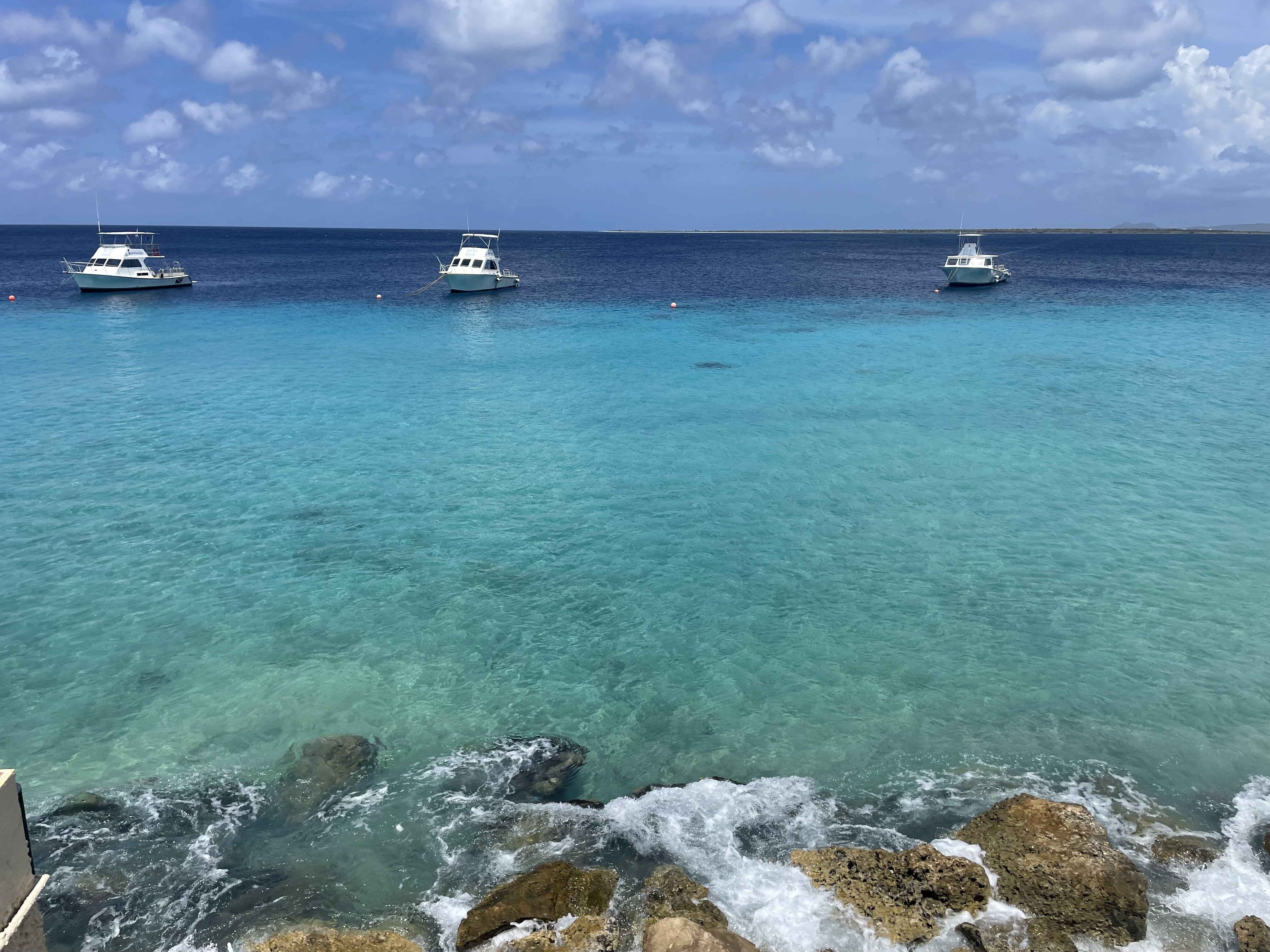 Divi Flamingo Beach Resort & Casino-浴室